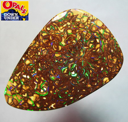 68.46 CT 45.6 X 27.2 X 6.8 mm Boulder Opal from Opals Downunder