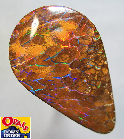 54.72 CT 36.2 X 21.5 X 9.3 mm Boulder Opal 
